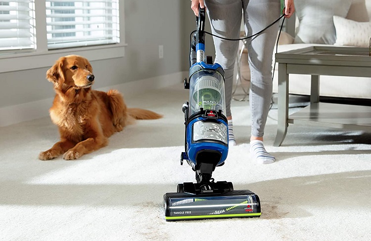 Do HEPA vacuums remove pet hair?