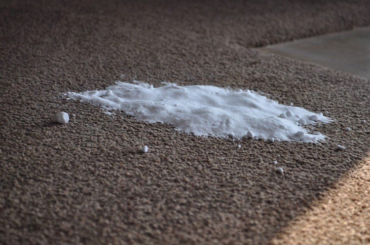 Method Nine: Use Baking Soda And Salt To Lift The Carpet Fibers 