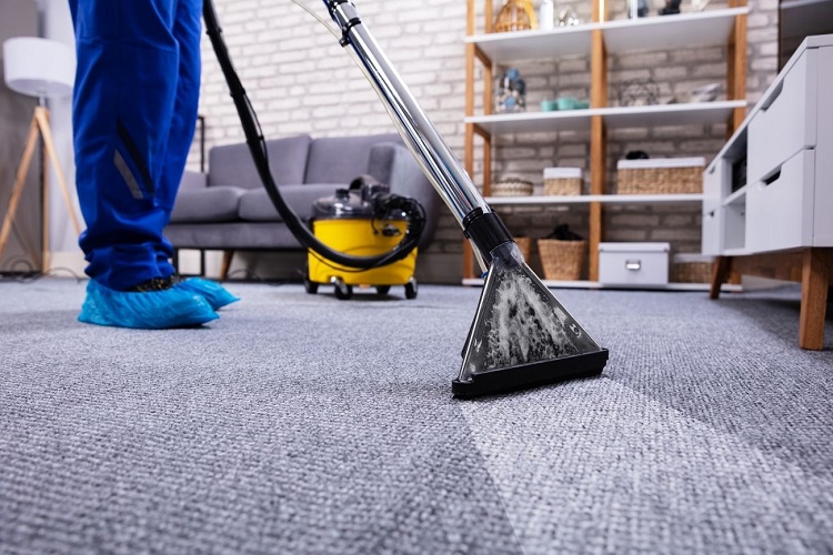 When Should You Call The Carpet Cleaning Professionals?