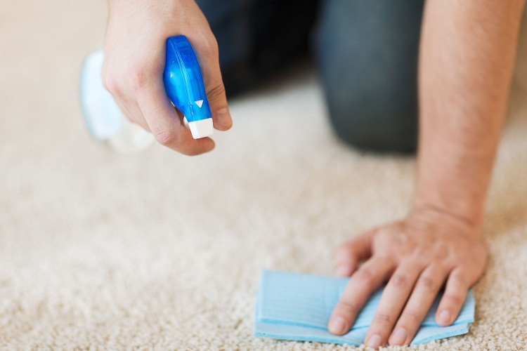 Method Six: Clean Your Carpets With Enzyme Cleaner