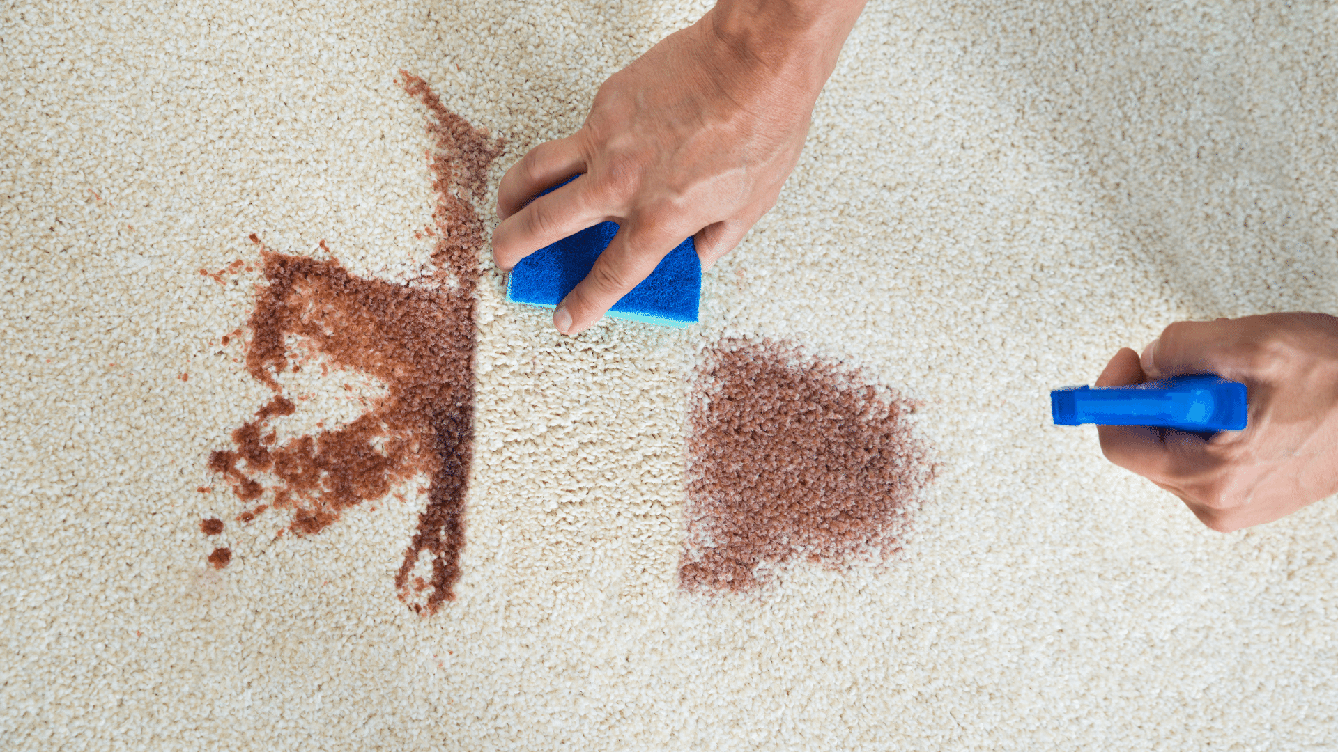 How To Get Hair Dye Out Of Carpet: Tips And Tricks