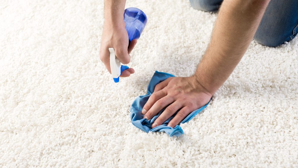 How To Freshen Carpets: Nine Top Methods