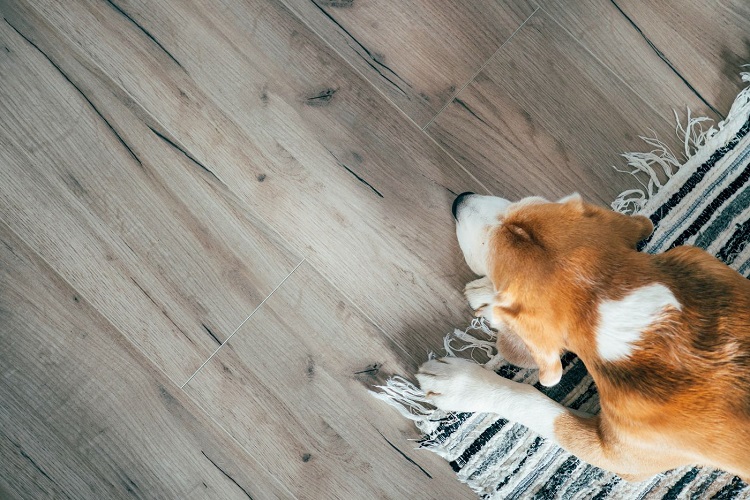 Why Is There Residue On Laminate Flooring?