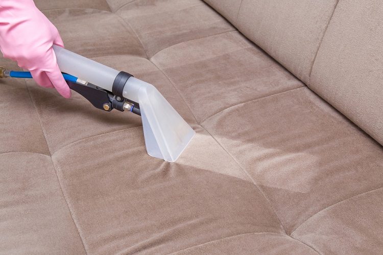 Make Sure You Use The Right Steam Cleaner
