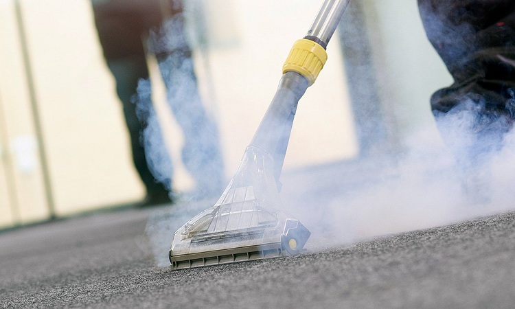 Does Steam Cleaning Your Carpet Remove Mold?
