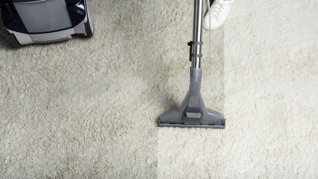 Steam Cleaner Vs Carpet Cleaner