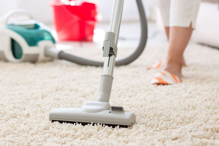 What kind of vacuum works on thick carpet?