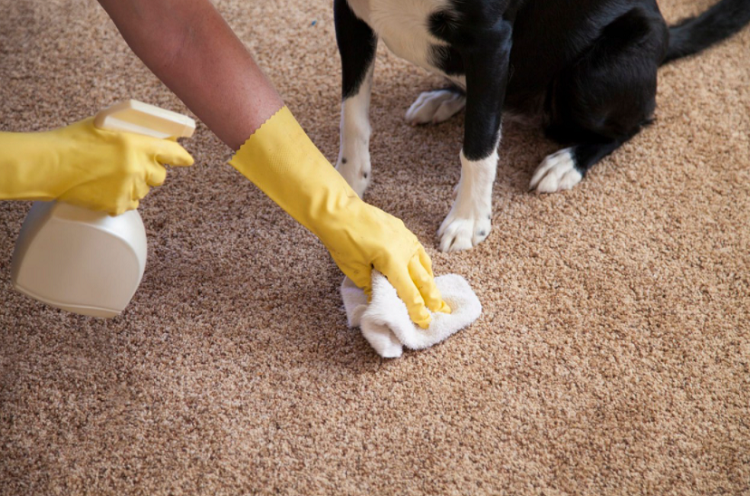 Should you do a spot test on your carpet before using a stain removal product?