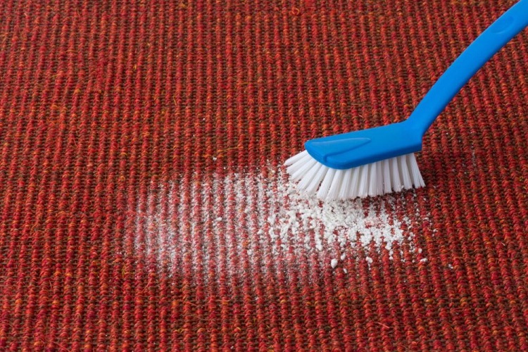 How To Remove Dry Milk From The Carpet