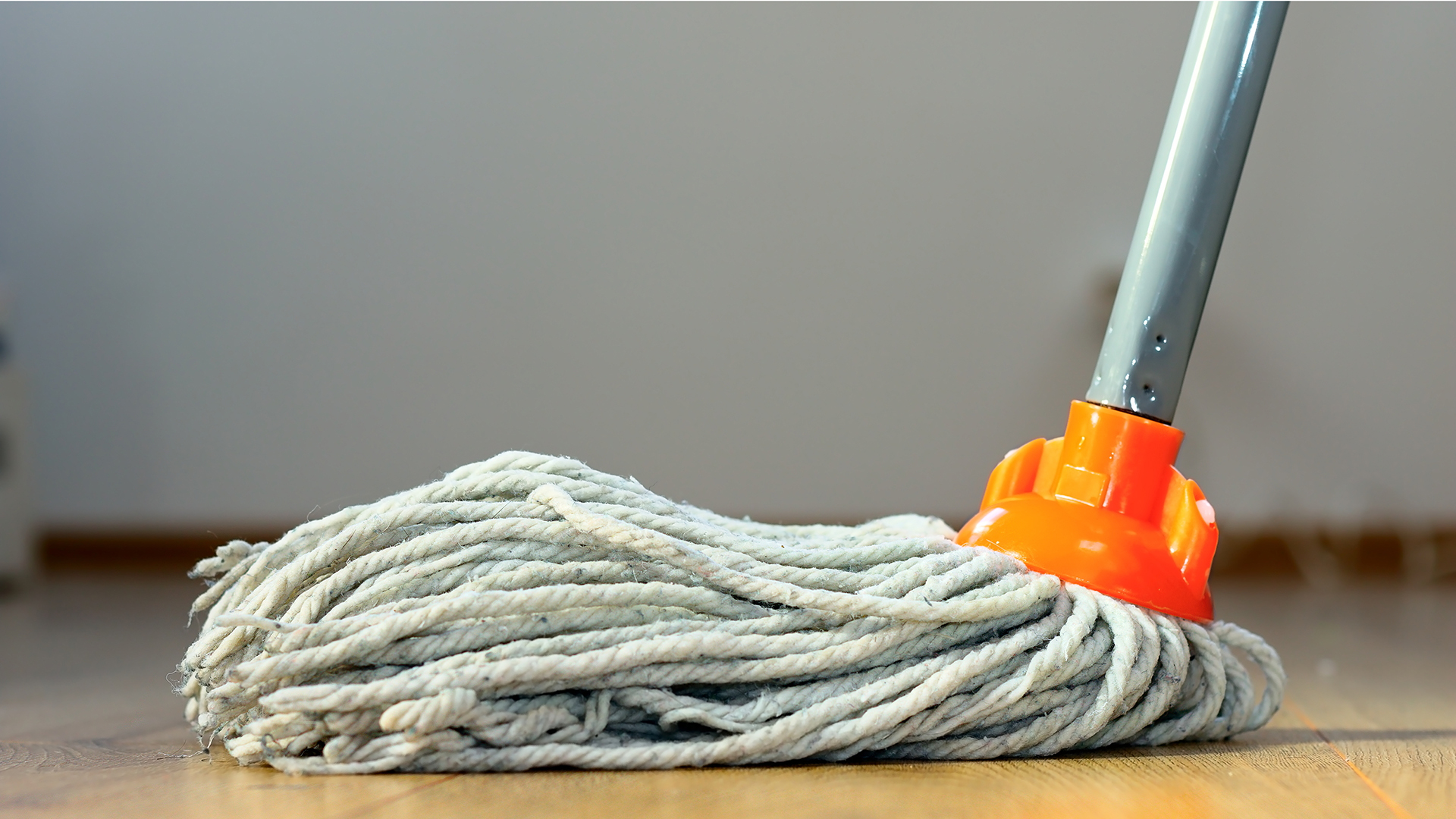 Steam Mop Vs Regular Mop: What Are Their Differences?