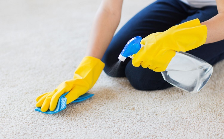 Daily Tips To Keep Your Carpets Clean 