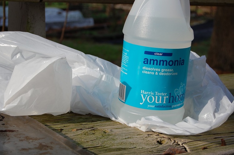 Can you use ammonia on a concrete garage floor?