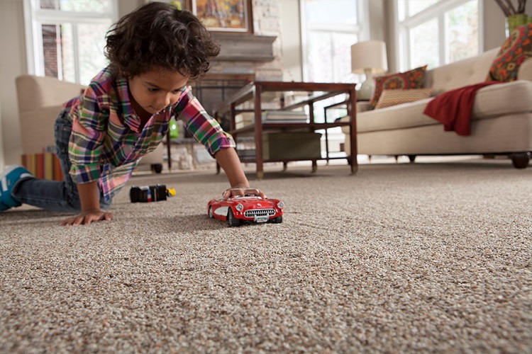 Why You Need To Sanitize Your Carpets, Not Just Clean Them 