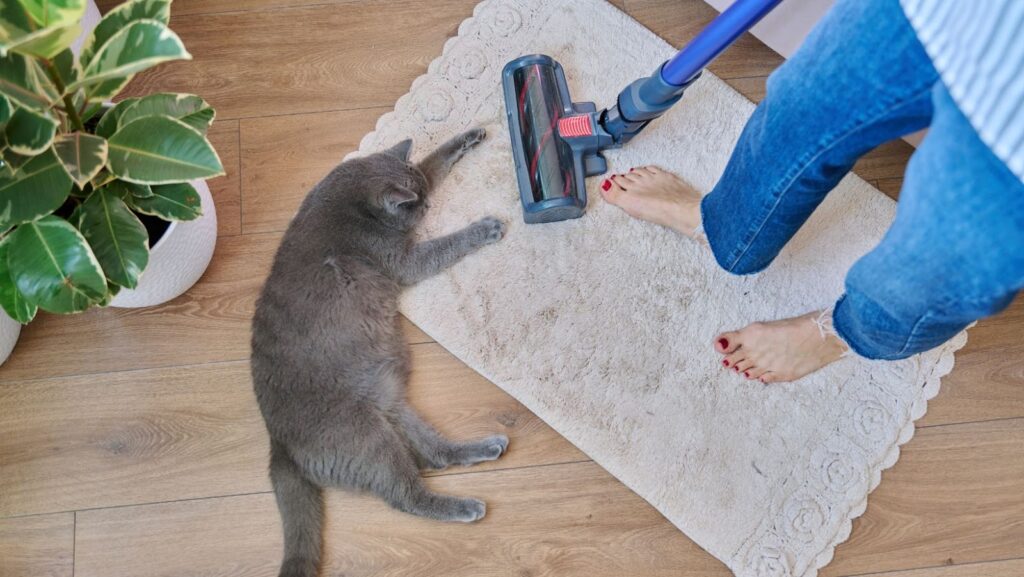 what is the best vacuum for pet hair