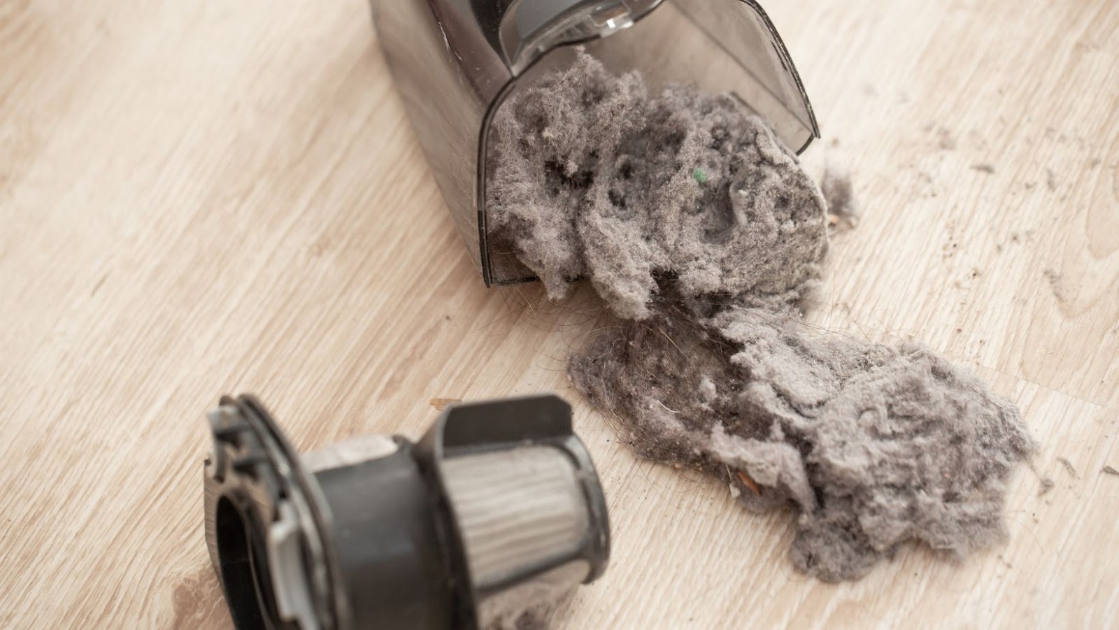 Quick and Easy Steps on How to Empty Shark Vacuum Living Pristine