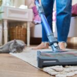 dyson v10 animal vs absolute