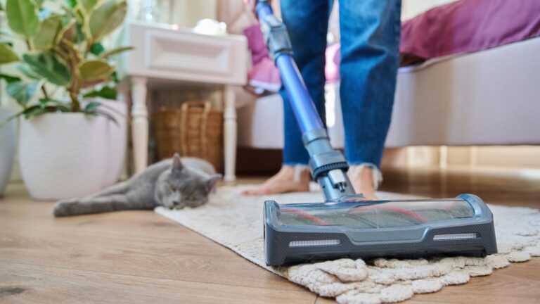 dyson v10 animal vs absolute