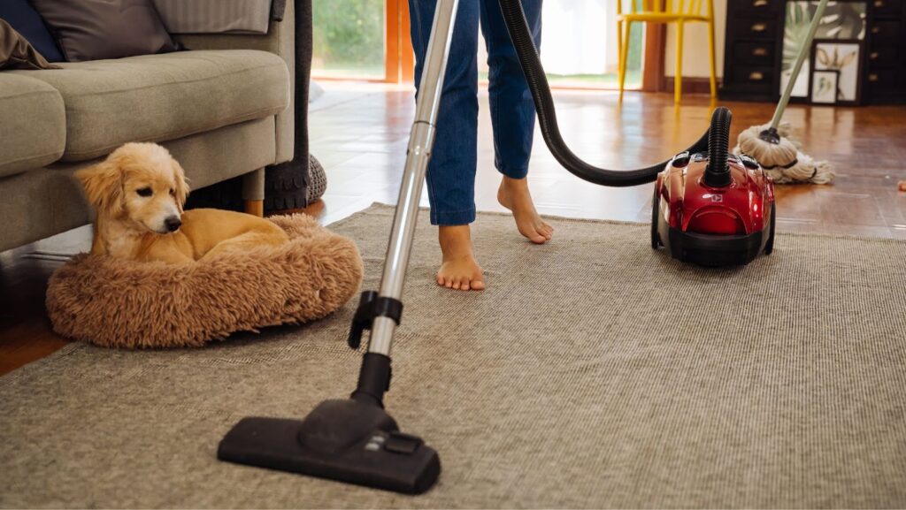 how to vacuum a shag rug