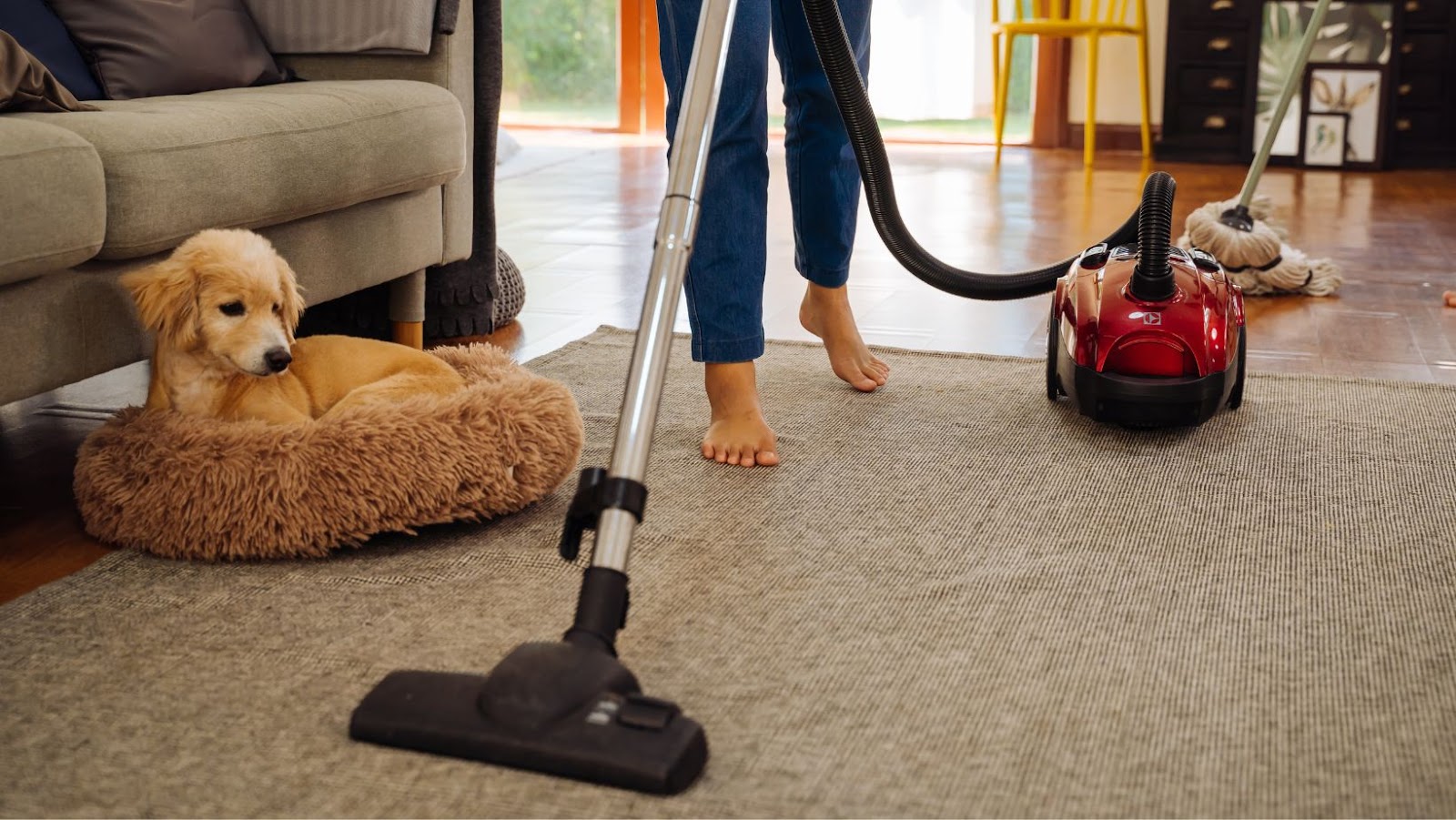 How to Vacuum a Shag Rug A Simple Guide for Effective Cleaning