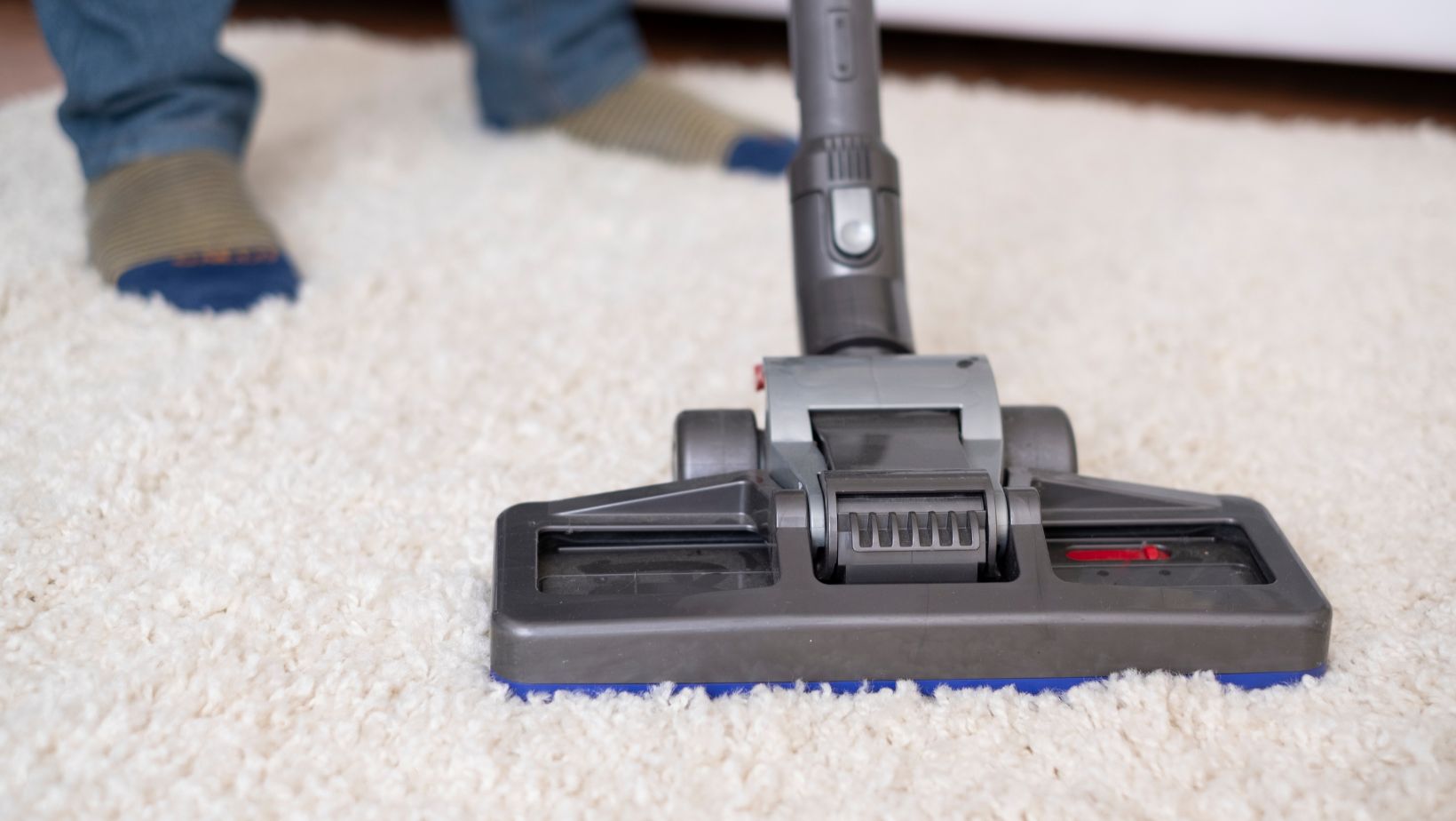 The Ultimate Cleaning Companion Best Buy Shark Vacuum Living Prestine