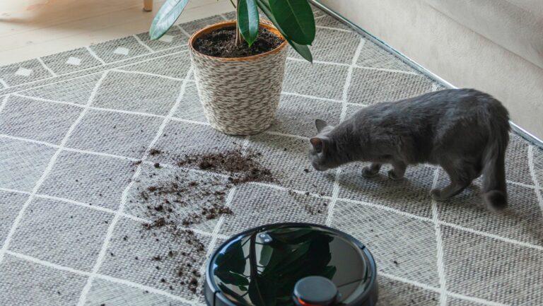 shark robot vacuum error 2