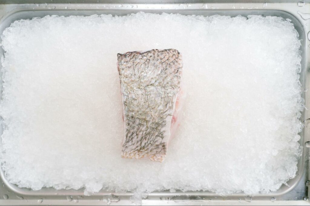 how long does fish last in the freezer vacuum-sealed