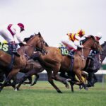 The Rise of Women in Horse Racing: Trailblazers and Champions