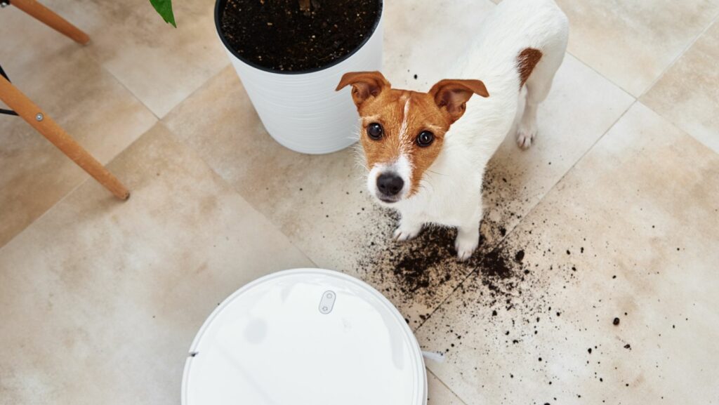 what is the best robot vacuum for pet hair