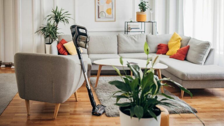 dyson v6 vs v8