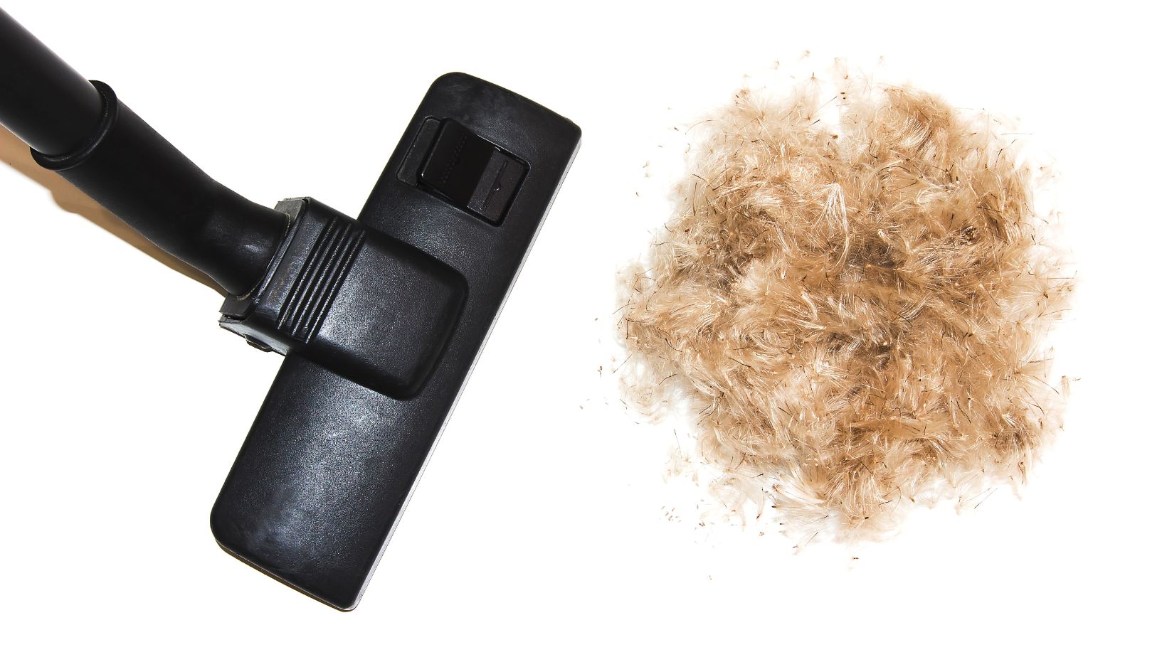 Shark Pet Hair Vacuum The Ultimate Solution for a FurFree Home