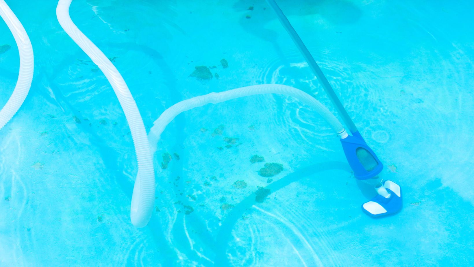 The Solution for a Clean and Clear Pool Shark Pool Vacuum Living