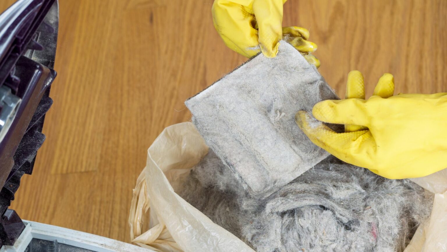 Pro Tips How to Clean a Shark Vacuum Filter For a Cleaner Home