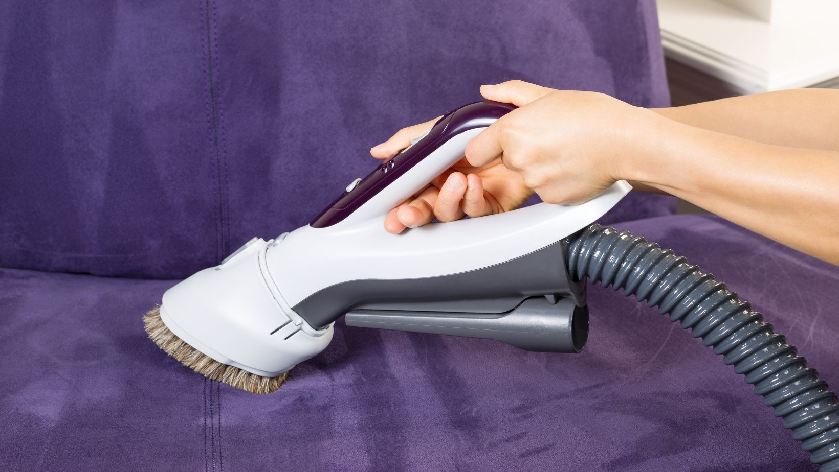 The Different Types of Shark Vacuums with Cord Living Pristine