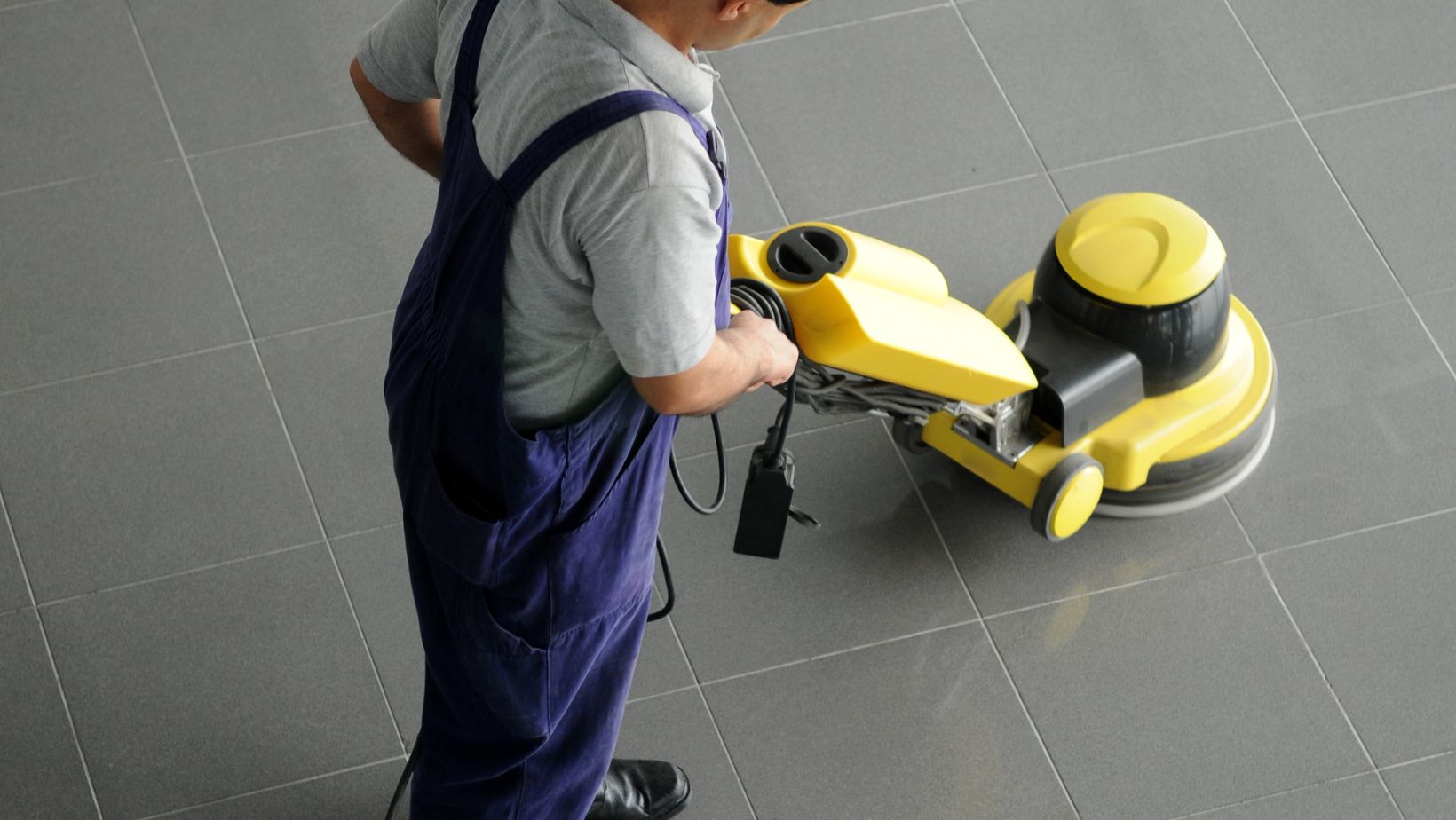 Where to Buy a Shark Vacuum Steam Living Prestine