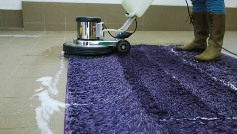 shark vacuum not spinning