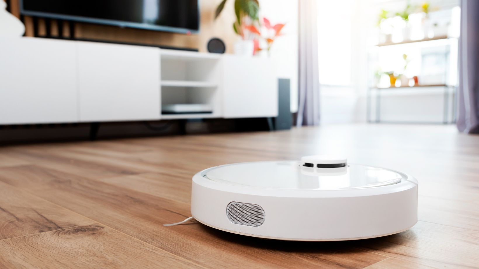 Shark Vacuum Making Loud Noise? Here's What You Need to Know Living