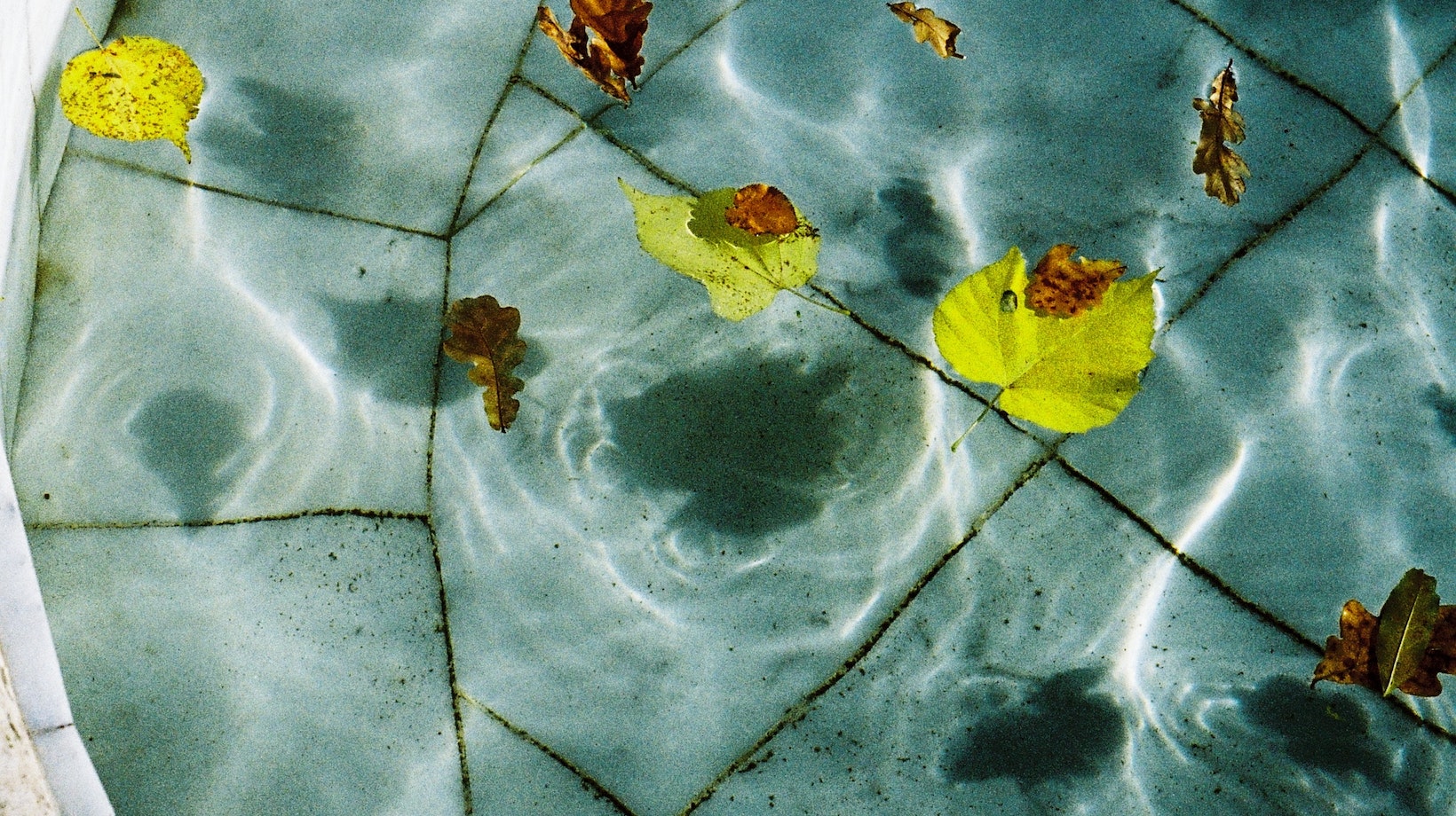 how to get algae out of pool without a vacuum