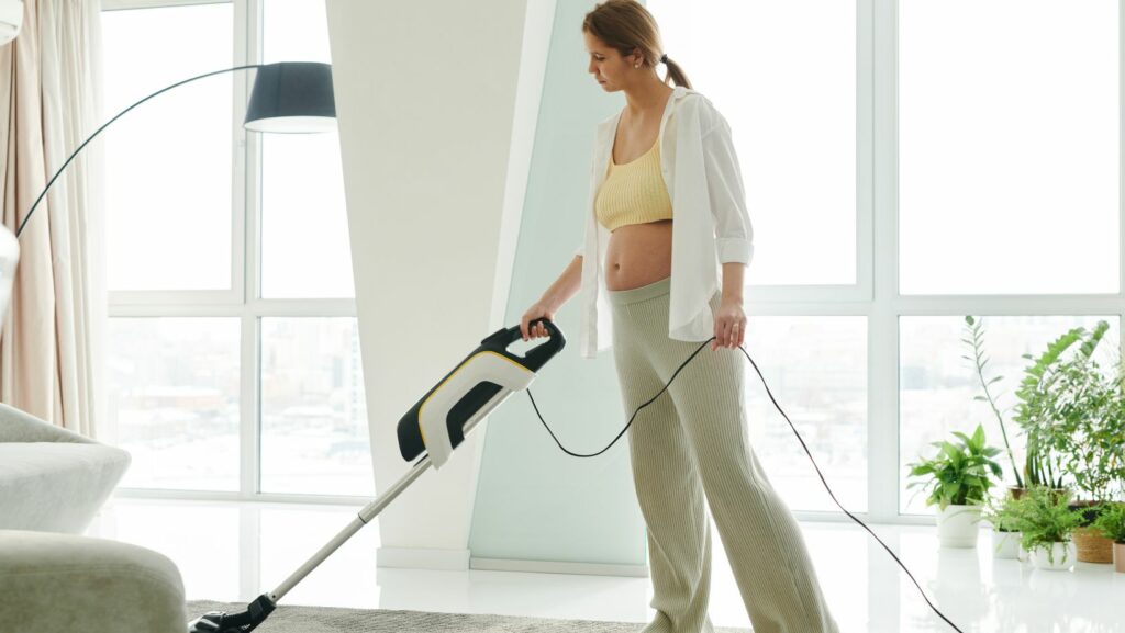 shark navigator self cleaning brushroll pet upright vacuum