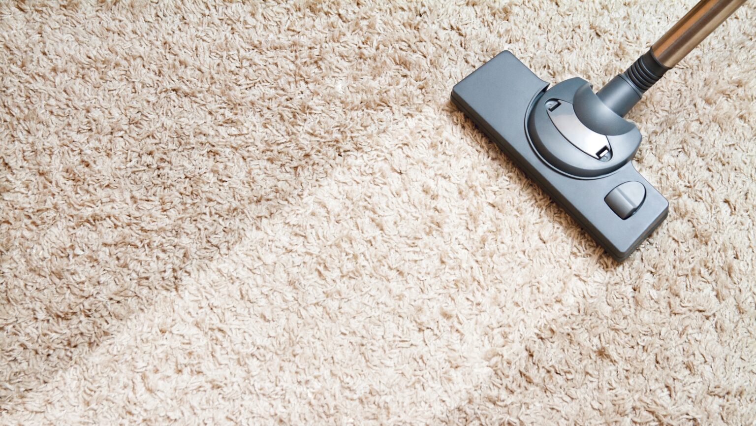 Shark Vacuum Two Lights Flashing What Does It Mean? Living Pristine