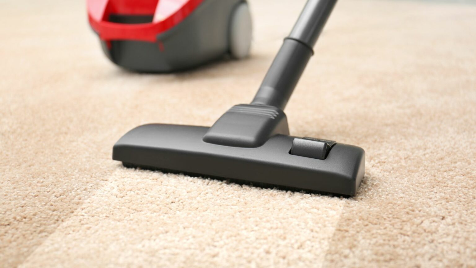 How to Use Dyson Diffuser FAQs Living Pristine