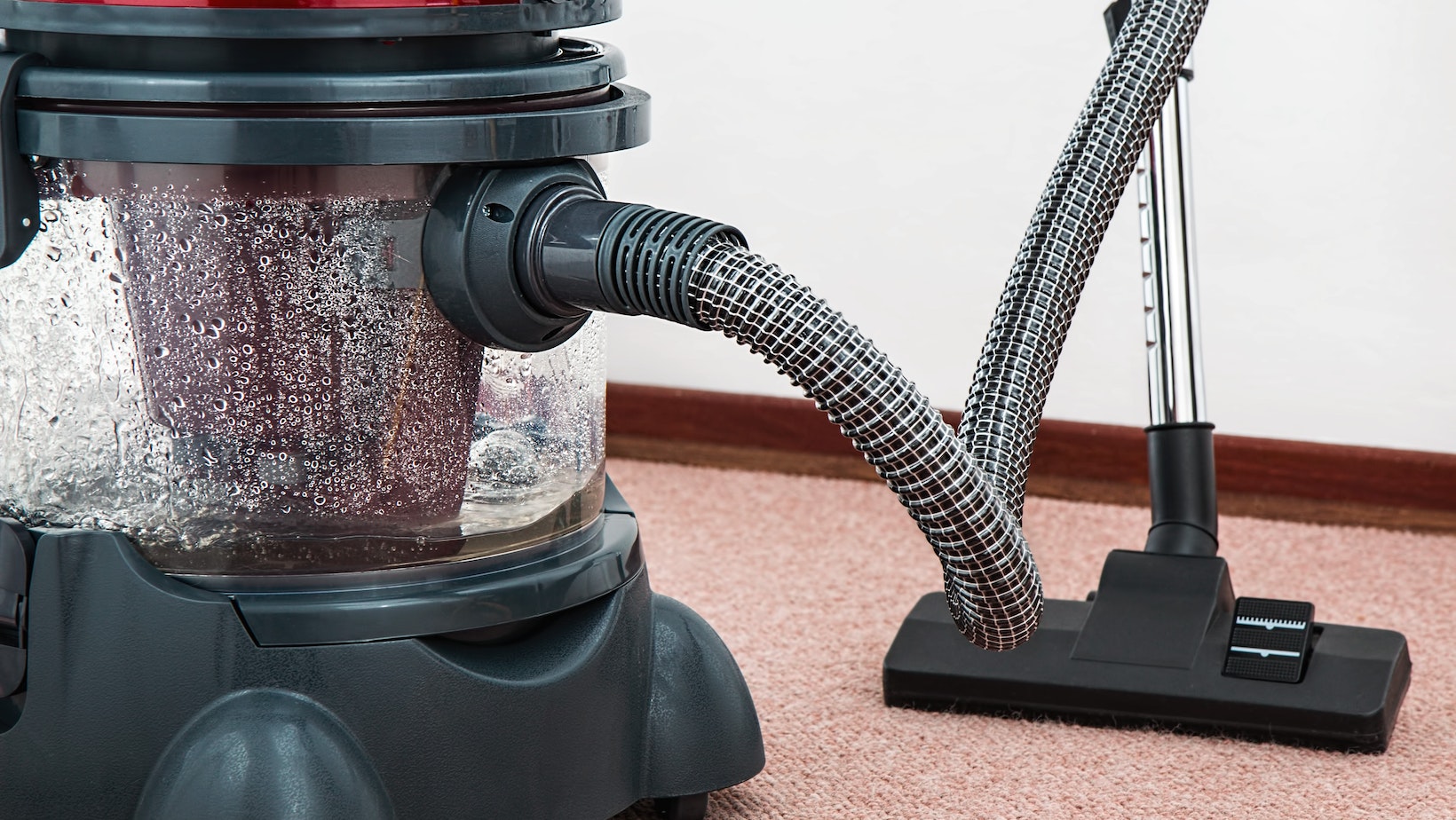 Discover The Shark Canister Vacuum Review - Living Pristine