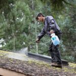 What Is the Ideal Time of Year to Remove Moss from a Roof?