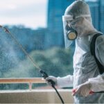 Five Reasons for Hiring Expert Pest Management Services