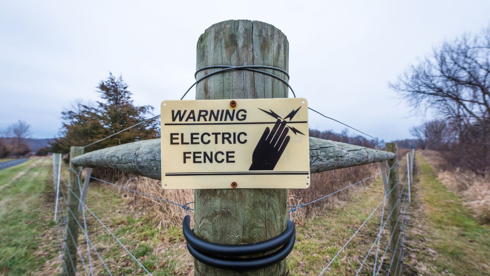 IMAGE 2025 05 30T234932.542