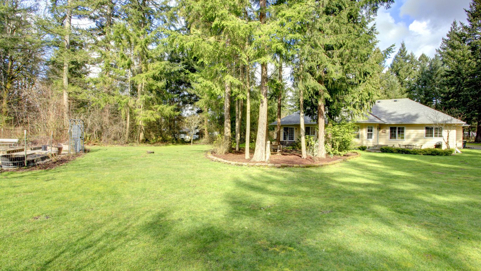 How to Take Control of Overgrown Trees Before They Become a Problem 9 IMAGE 86