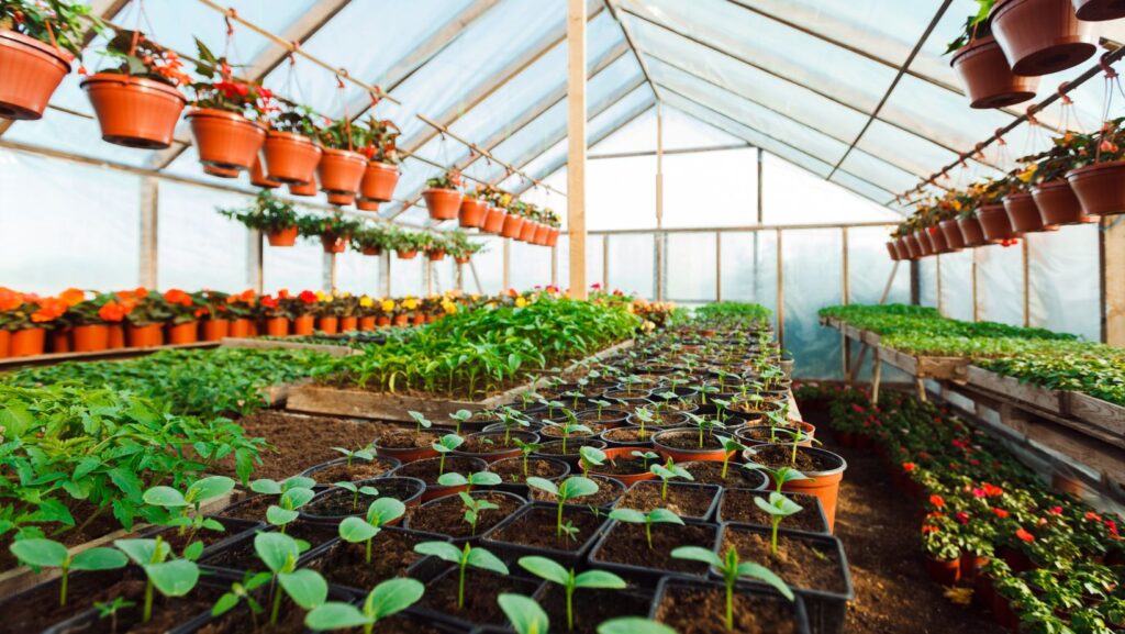 Untitled design 2025 05 26T141808.365