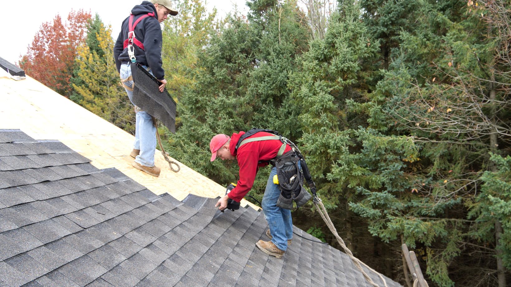 The Benefits of Installing Impact-Resistant Shingles 11 Untitled design 2025 05 26T154644.107