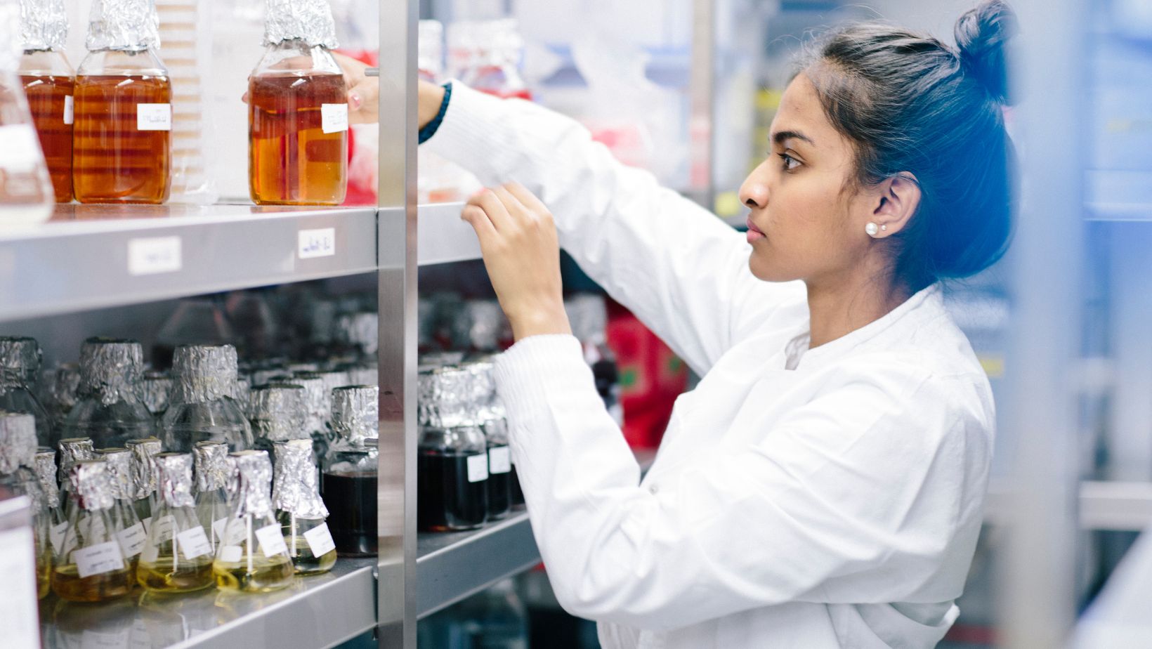 Where Should You Place a Cold Room? Layout Tips for Maximum Efficiency 11 Image1