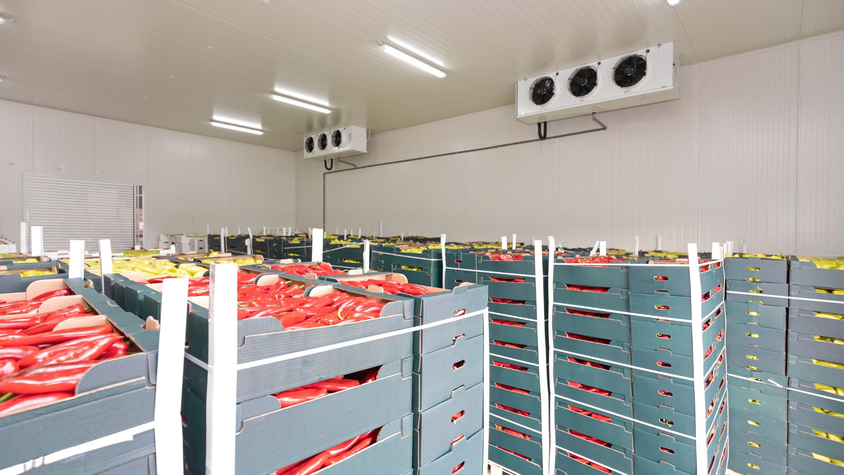 Where Should You Place a Cold Room? Layout Tips for Maximum Efficiency 10 Image2