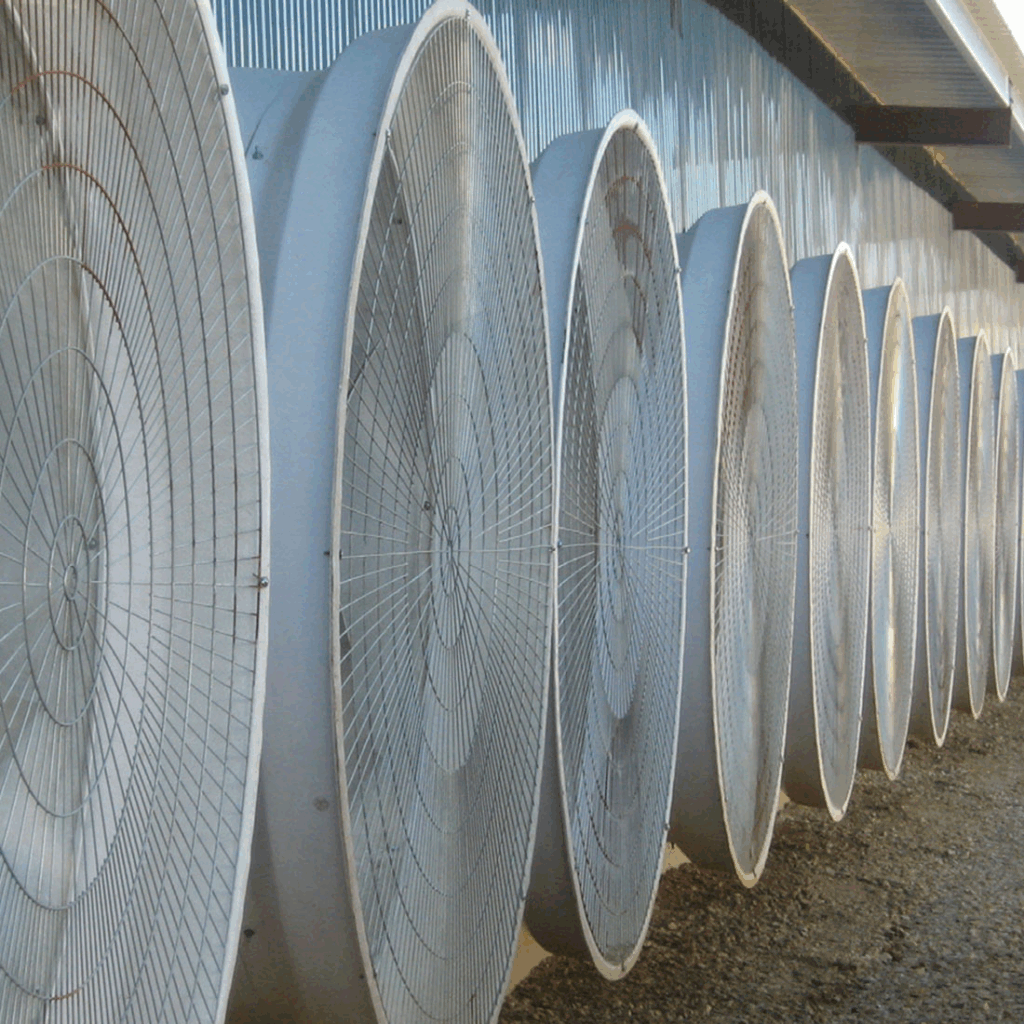 unnamed 2025 07 16T194237.754